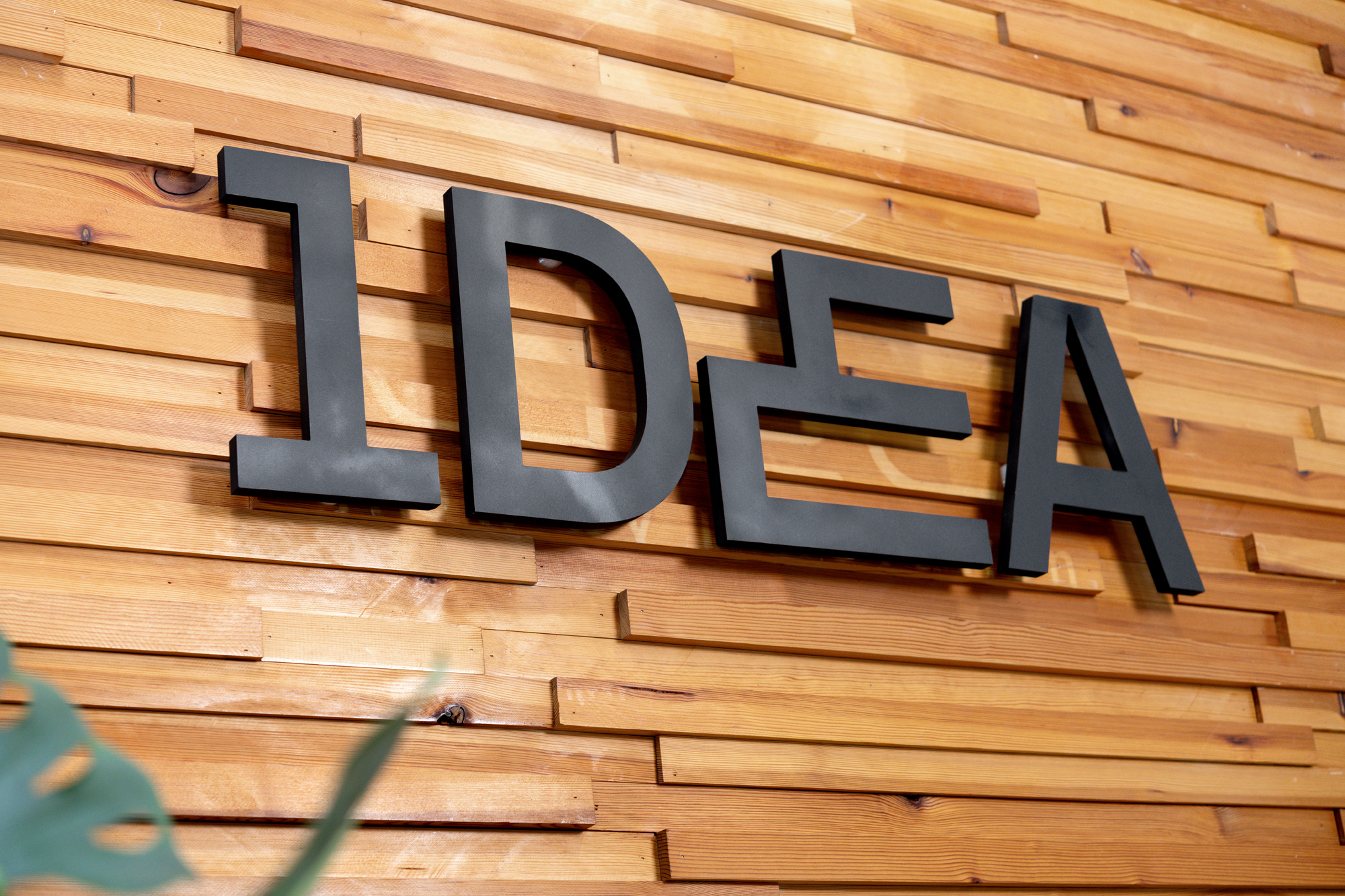 Designing Without Borders: IDEA Design’s International Journey Powered by INFO